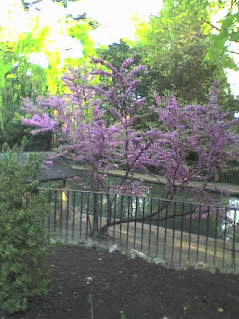 09-04-06_1923.jpg