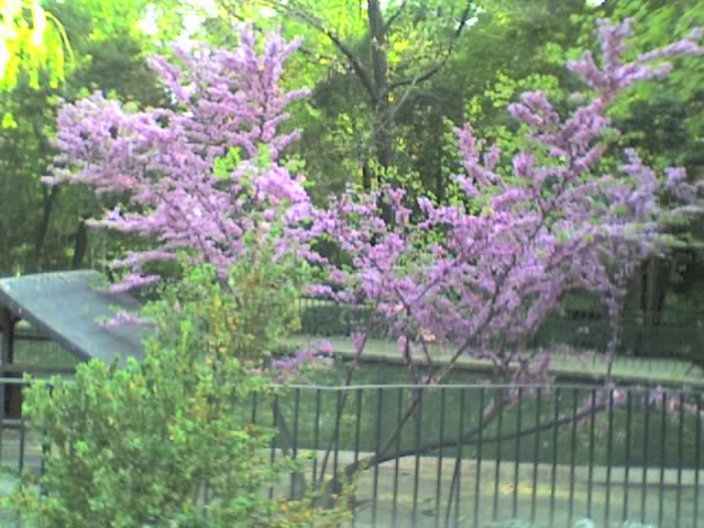 09-04-06_1924.jpg