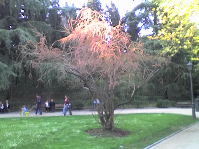 09-04-06_1928.jpg