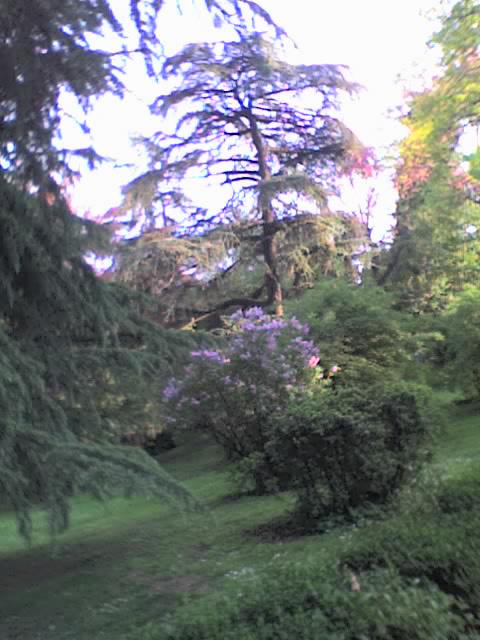 09-04-06_1929.jpg