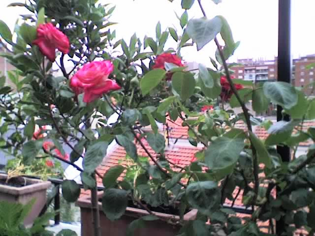 09-06-06_1156.jpg