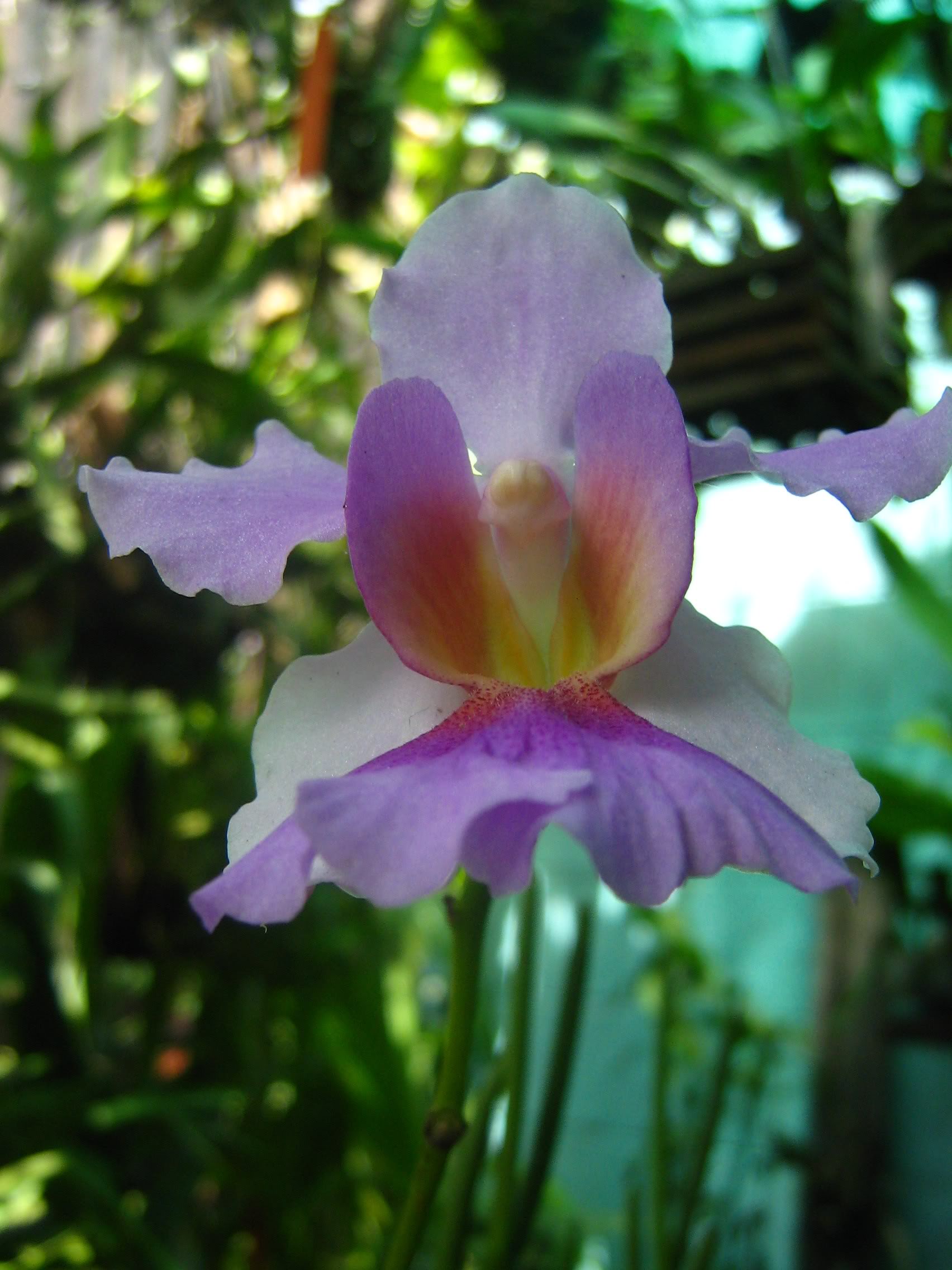 09-07081.jpg