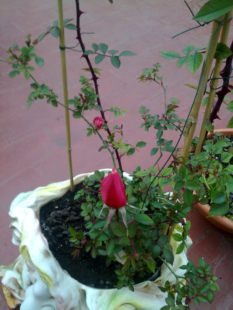 090320111221.jpg