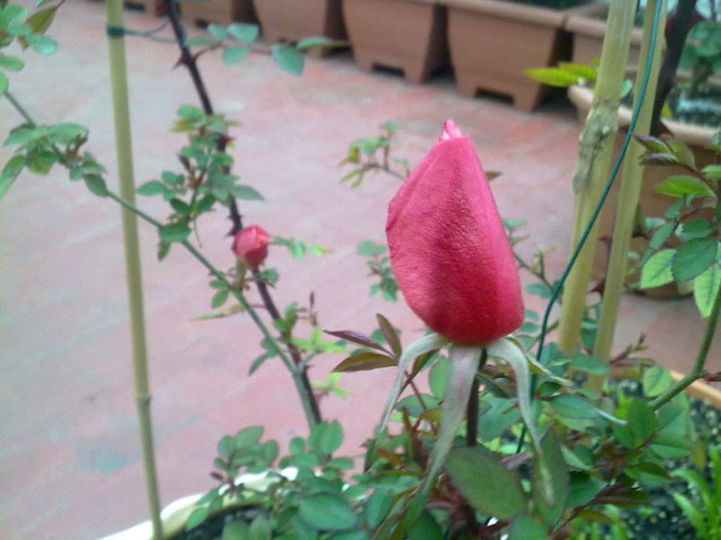 090320111227.jpg