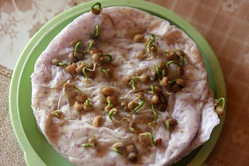 090403_guayaba_semillas.jpg