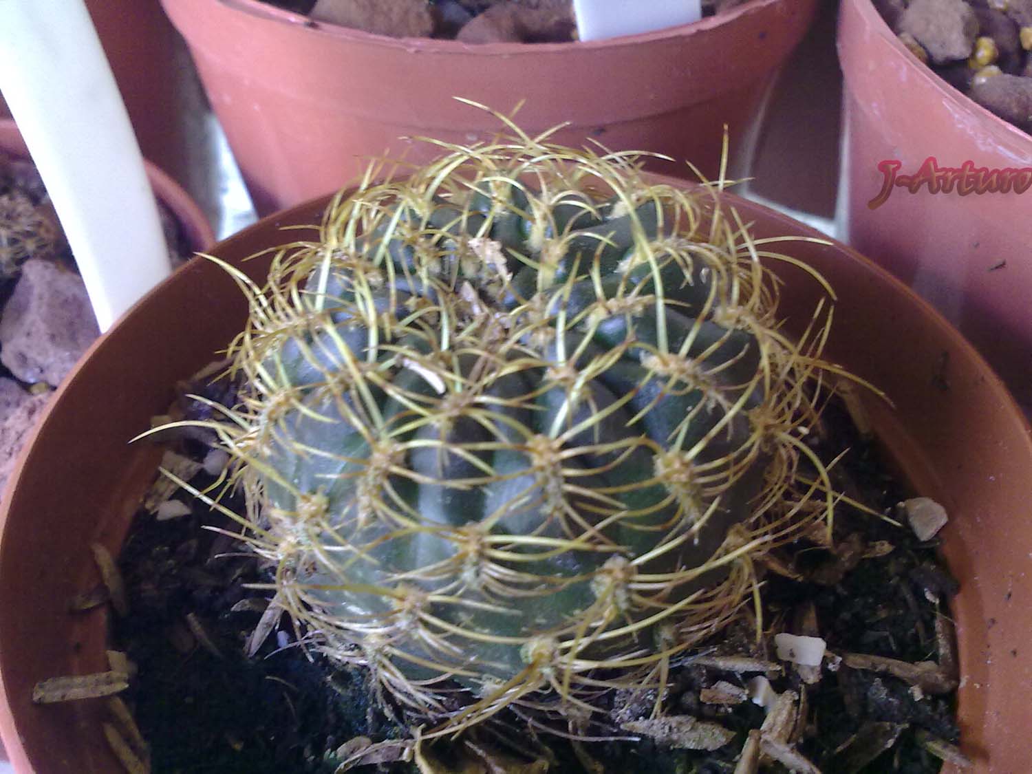 09052010050.jpg