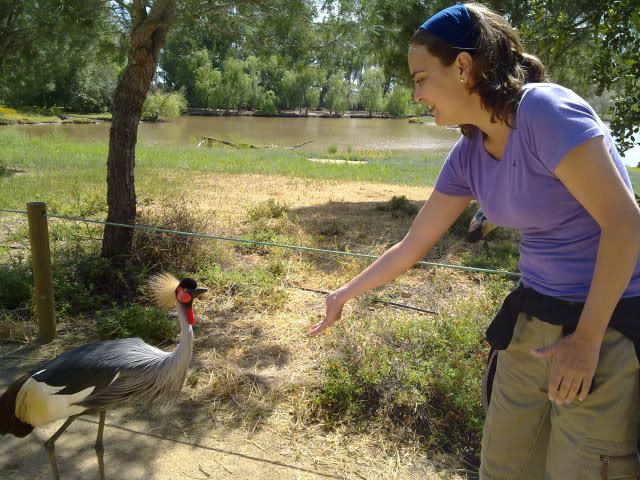 09052010242.jpg