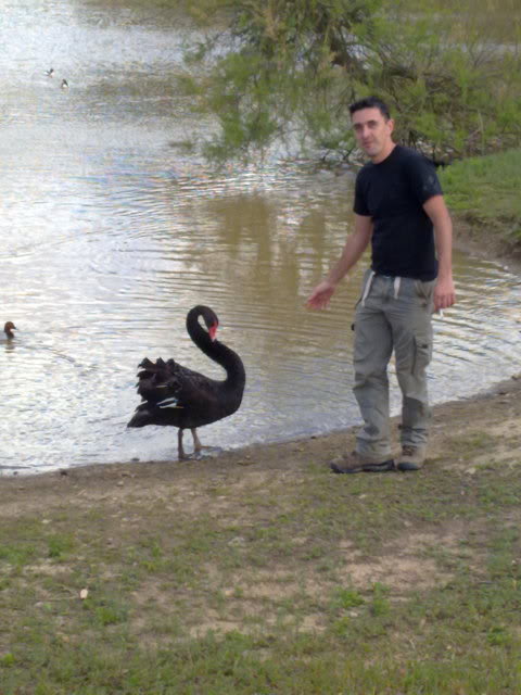 09052010250.jpg