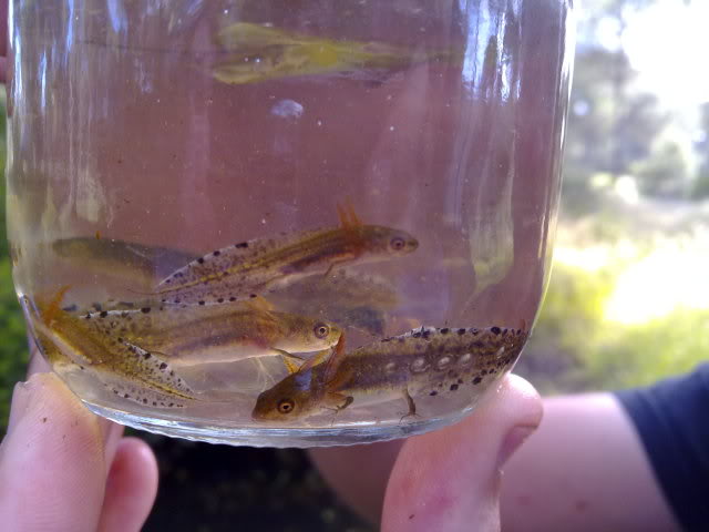 09052010256.jpg