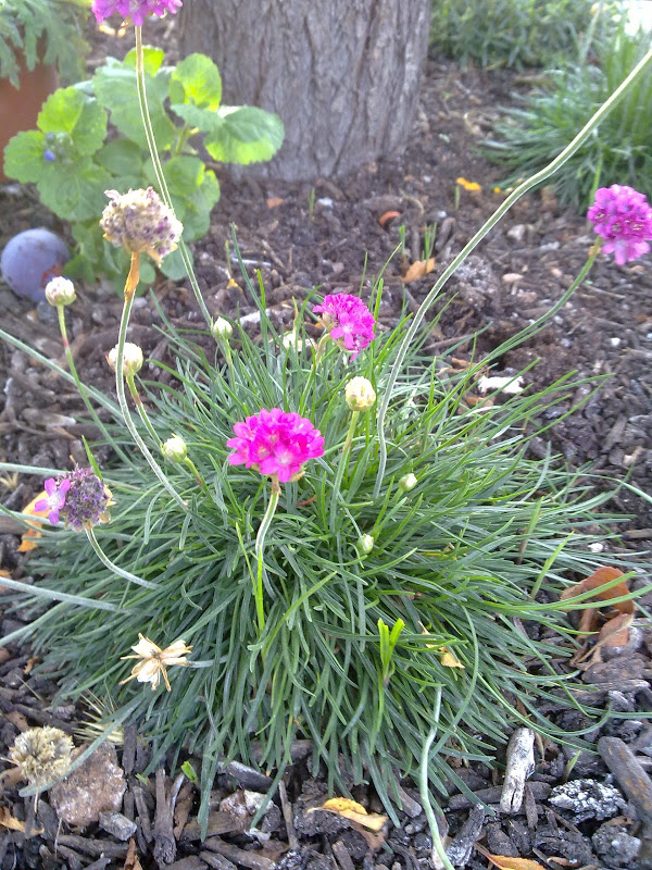09062011229.jpg
