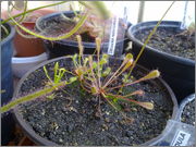 09072011920.jpg