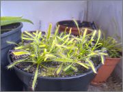 09072011930.jpg