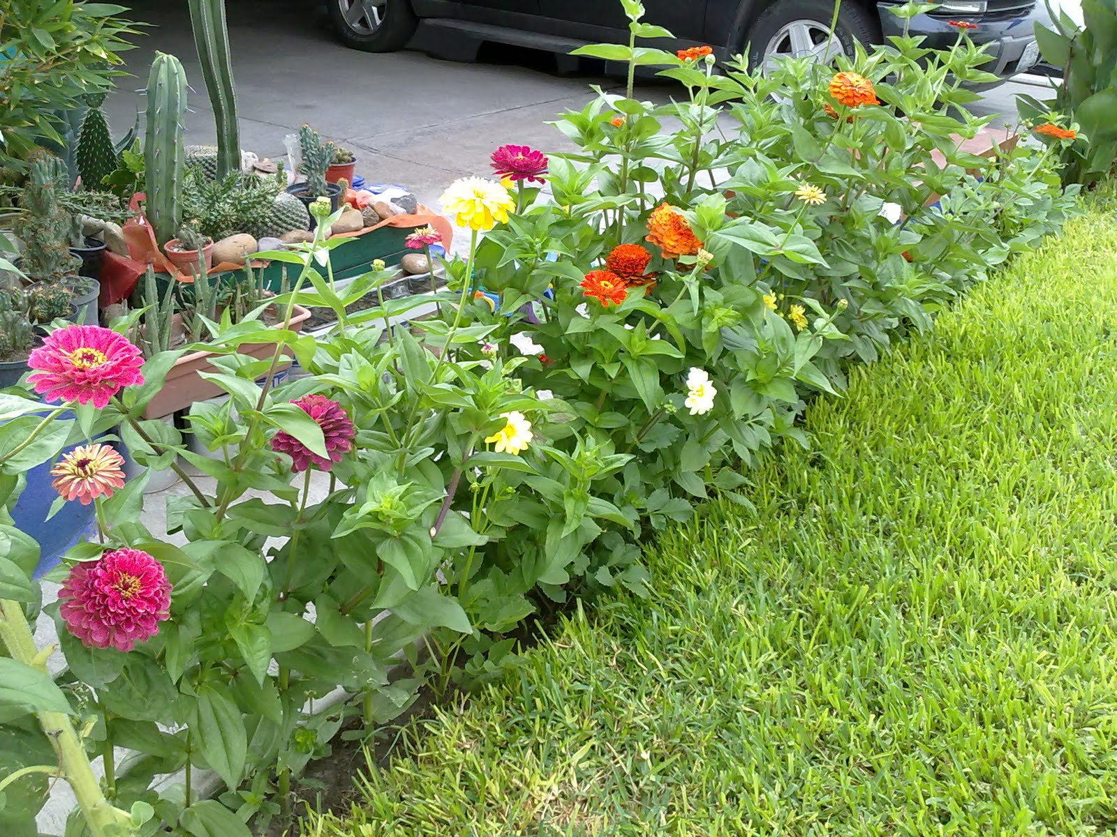 090820102503.jpg