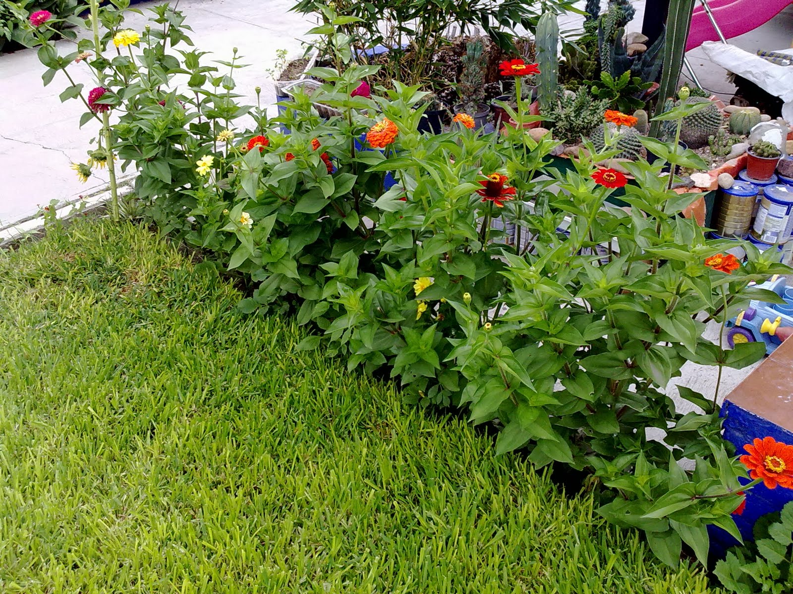 090820102504.jpg