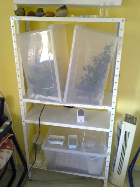 09122010827.jpg