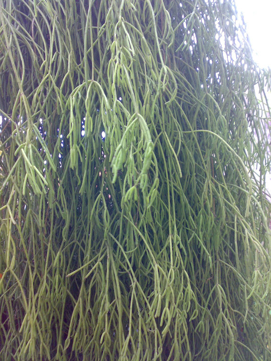 0912201215145.jpg