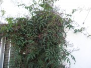 094467146220441.jpg