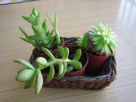 09_08_2006_1.JPG