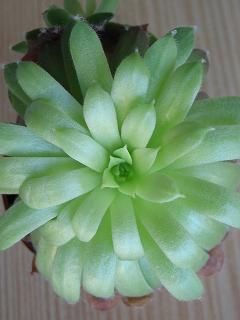 09_08_2006_5.JPG