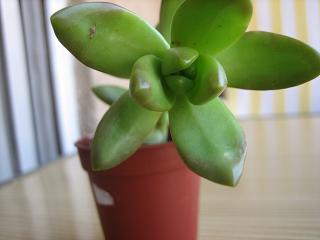 09_08_2006_7.JPG