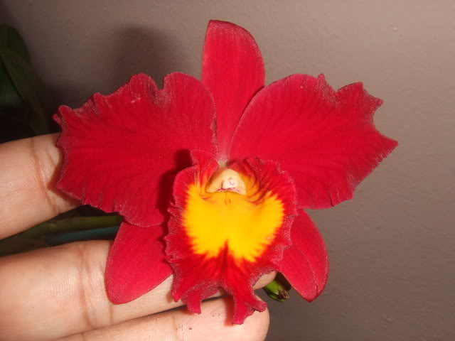 09df82f7.jpg