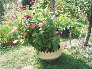 0_2b8e1_3d411975_XL.jpg