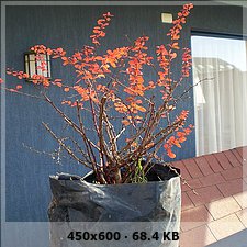 0ac1f207a670624bec20b590900991cco.jpg