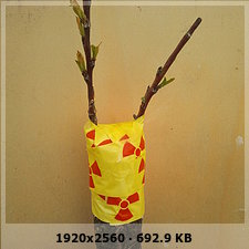 0c15908ba90a02f7a98d853f11b6bd03o.jpg