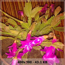 0df55b8a0954039a8ac918e0801d56b4o.jpg