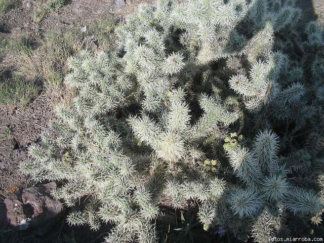 0e07108a.jpg
