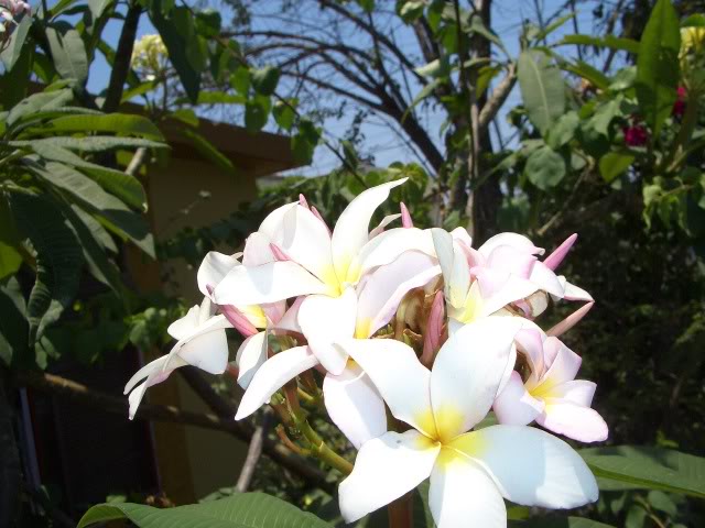 0f170044.jpg