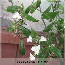 0fa42dfecf8aa82c9d72ea7e8c62db19o.jpg