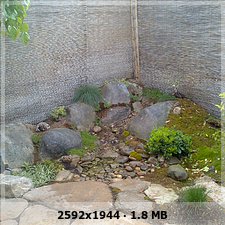 0fdfc8f8c249e764a17bb1681f603a95o.jpg
