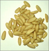 0pinon1.jpg