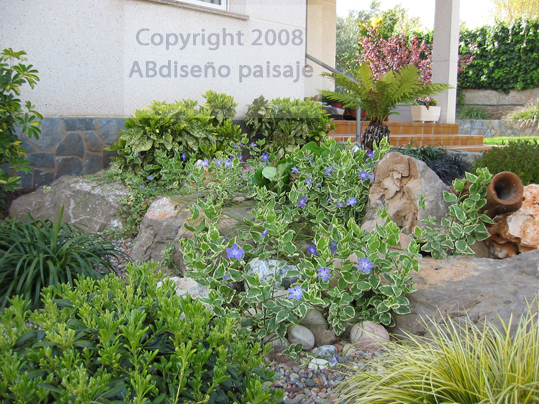 1-IMG_0040.jpg