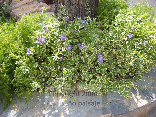 1-IMG_0041.jpg