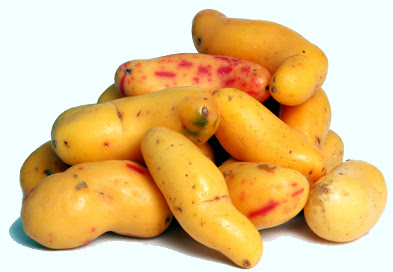 1-olluco_edited.jpg