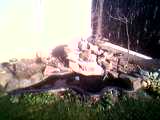 10-02-06_1128.jpg