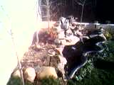 10-02-06_1129.jpg