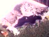 10-02-06_1146.jpg
