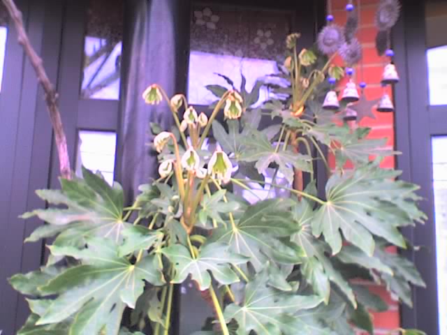 10-04-06_1901.jpg