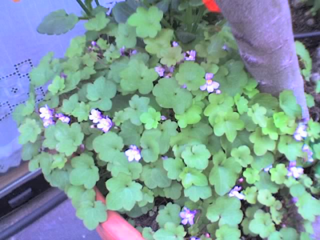 10-04-06_1903.jpg