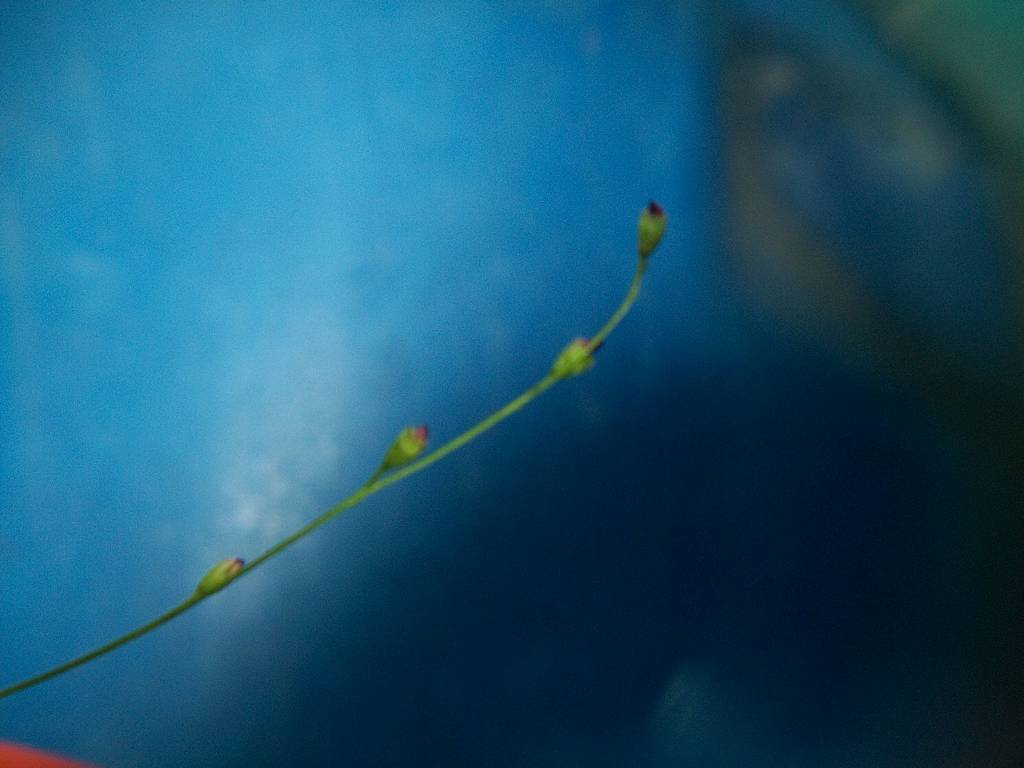 10-3-14_zps09bcdd62.jpg