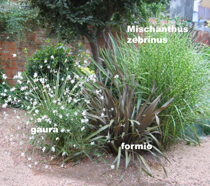 100-0001_IMG%21%21%21%21%21.jpg
