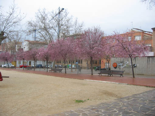 100-0004_IMG.jpg