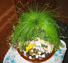 100-0010_IMG.jpg