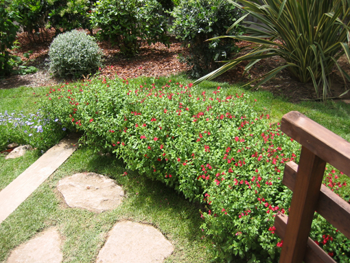 100-0021_IMG.jpg