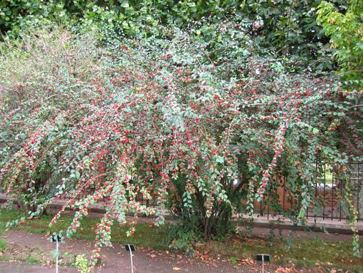 100-0025_IMG%7E0.jpg