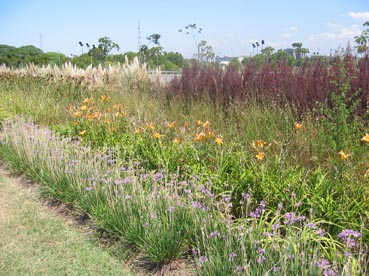 100-0026_IMG20051.jpg