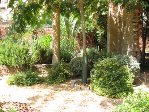 100-0045_IMG.jpg